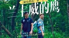 为什么小学老师口碑在各段教师中相对差？游戏画面